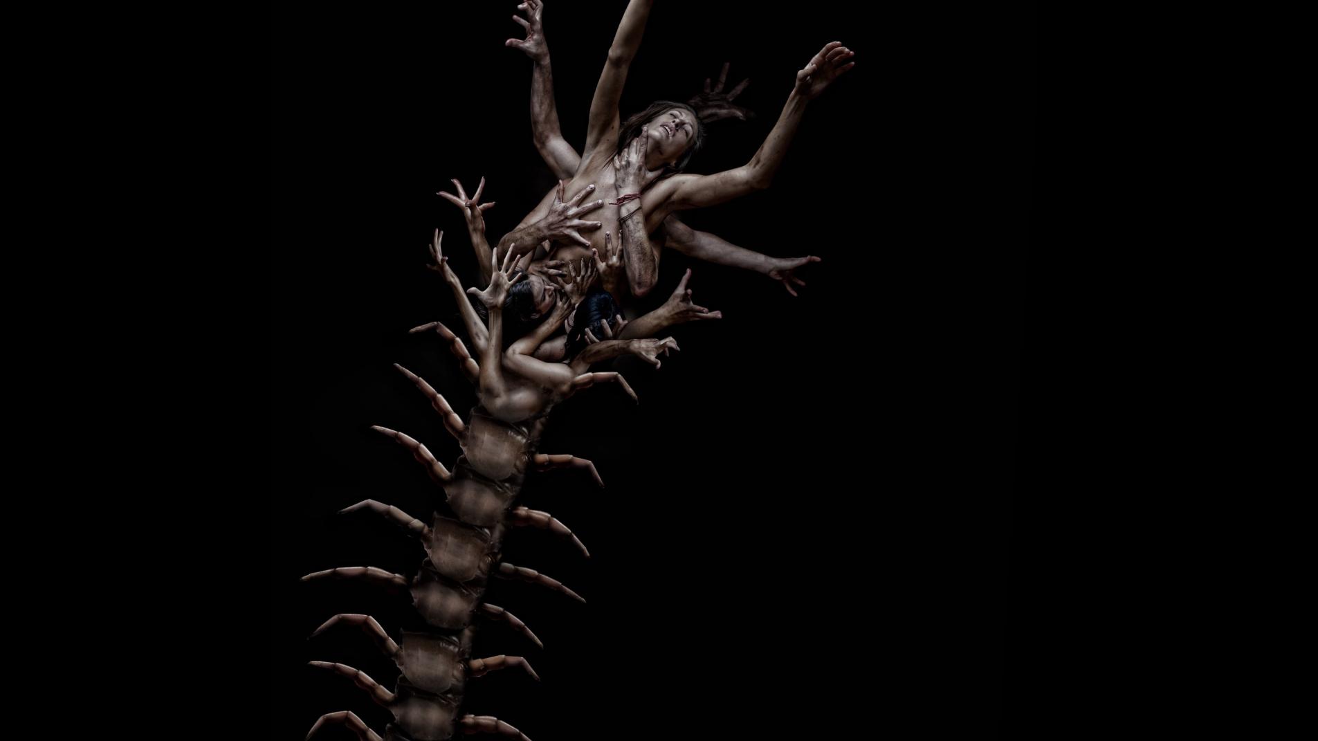 Película The Human Centipede 2 (Full Sequence) en Pelispedia