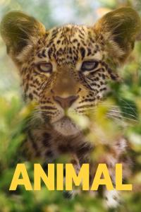 Poster Animal