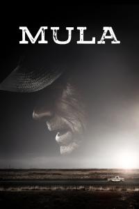 Poster Mula