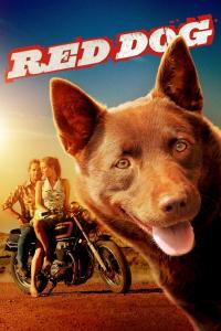 Poster Red Dog, una historia de lealtad
